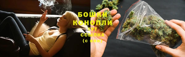 трава Дмитриев