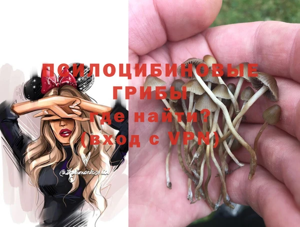 трава Дмитриев
