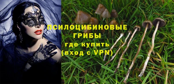 трава Дмитриев