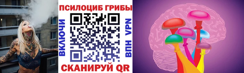 Галлюциногенные грибы GOLDEN TEACHER  Купить  Калач 